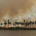 Brasil - Autoridades pedem mais reforços para combater fogos no Pantanal