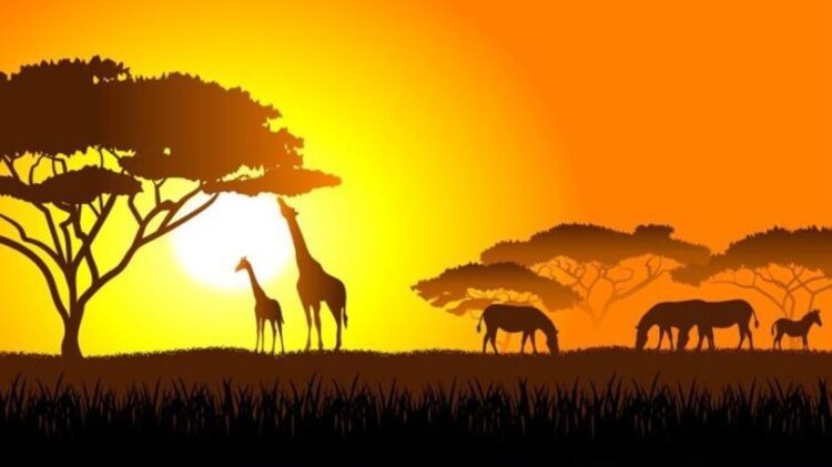 EurAfrican Forum 2020 pretende criar zonas de entendimento nas relações entre os dois continentes 11 EurAfrican Forum 2020 pretende criar zonas de entendimento nas relações entre os dois continentes