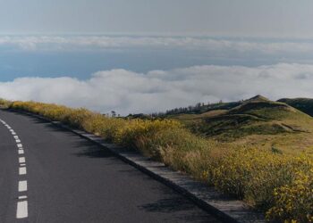 Funcionários públicos podem ser colocados em outro local de trabalho