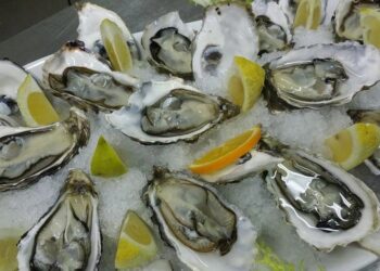 Há muitas ostras para provar em Setúbal no festival que lhe é dedicado