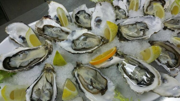 Há muitas ostras para provar em Setúbal no festival que lhe é dedicado 11 Há muitas ostras para provar em Setúbal no festival que lhe é dedicado