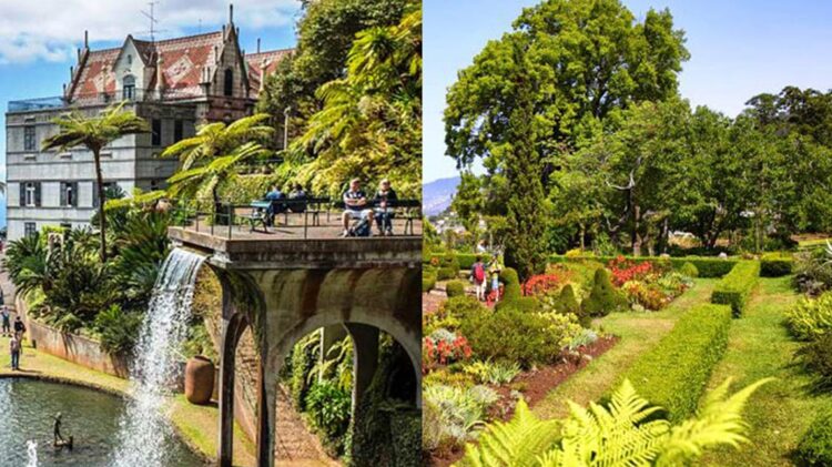 Madeira -Governo disponibiliza aplicação sobre os jardins do arquipélago