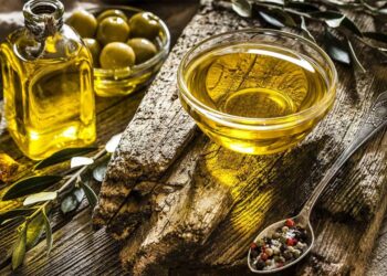 Olivoturismo: Rotas para provar o azeite português