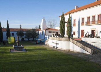 Região do Dão prevê vinhos de "excelente qualidade"