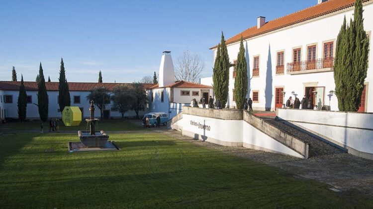 Região do Dão prevê vinhos de "excelente qualidade"