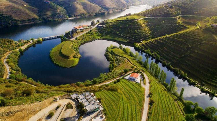 Associação de Turismo do Porto. Tomada de posse dos novos Órgãos Sociais