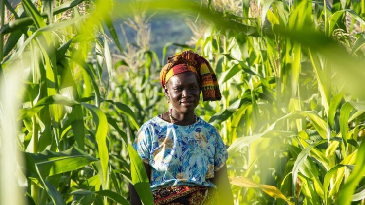 Governo moçambicano promete transformação social através da agricultura