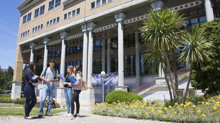 Mestrados em gestão da Nova SBE e da Católica entre os melhores do mundo 11 Mestrados em gestão da Nova SBE e da Católica entre os melhores do mundo