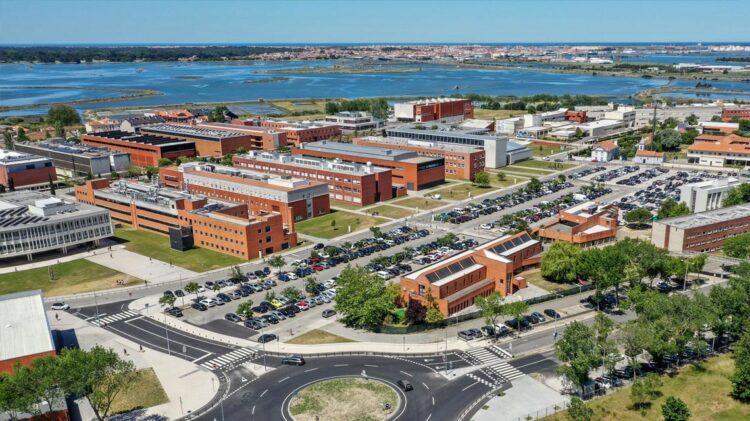 Universidade de Aveiro é a melhor portuguesa em ranking europeu