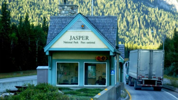 Canadá. Aviso das autoridades canadianas: não deixem os alces lamber os carros 11 Canadá. Aviso das autoridades canadianas: não deixem os alces lamber os carros