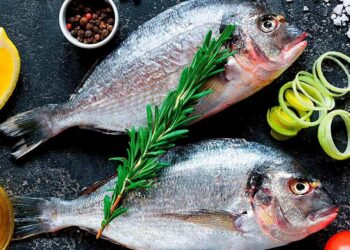 Como saber se o peixe é mesmo fresco? Cinco aspetos a considerar