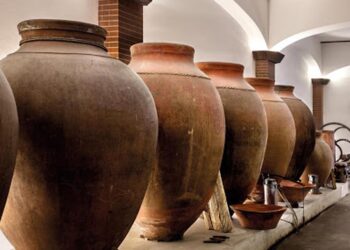 Feira Digital dos Vinhos do Alentejo quer apoiar produtores e vendas