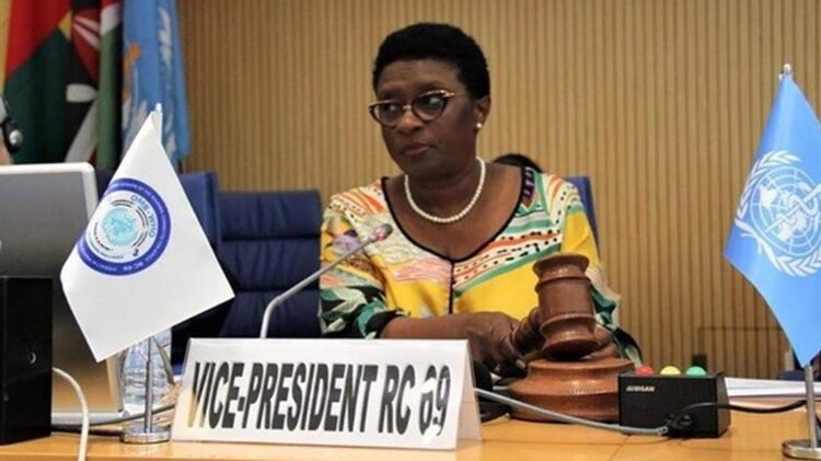 Guiné-Bissau afirma importância de fundo da ONU para consolidar a paz com Covid-19