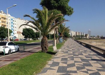 Há 121 concelhos que vão ser sujeitos a medidas especiais de combate à Covid-19. Saiba se um deles é onde mora