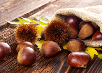 Magusto em casa. Três sugestões para comer castanhas no São Martinho