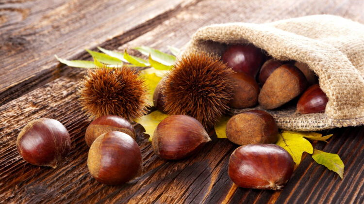 Magusto em casa. Três sugestões para comer castanhas no São Martinho