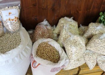 Os Chícharos estão de volta!