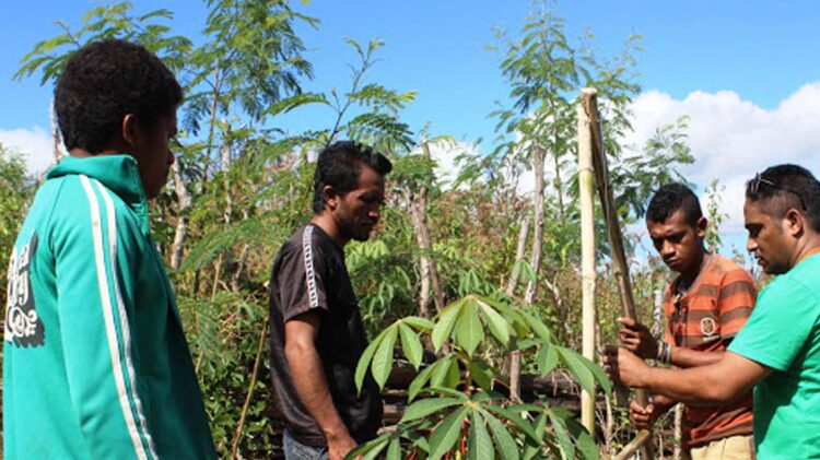 Portugal faz contribuição voluntária para missão do Programa Alimentar Mundial em Timor-Leste