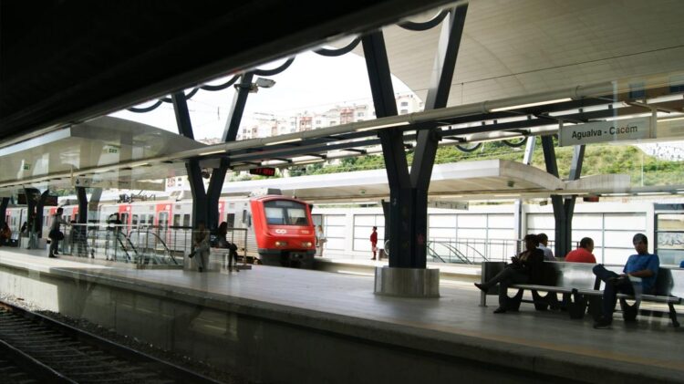 Suíços que venderam comboios à CP procuram empresas portuguesas para parcerias 11 Suíços que venderam comboios à CP procuram empresas portuguesas para parcerias