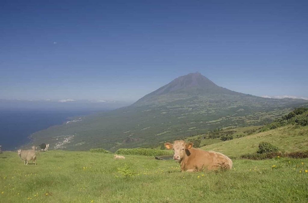 Oito experiências imperdíveis numa visita aos Açores 14 Oito experiências imperdíveis numa visita aos Açores