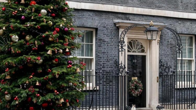 Inglaterra tem gato caçador de ratos “oficial” na residência do primeiro ministro