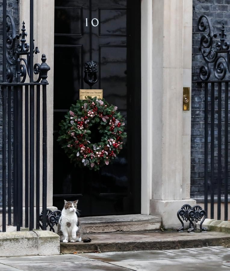 Inglaterra tem gato caçador de ratos “oficial” na residência do primeiro ministro 12 Inglaterra tem gato caçador de ratos “oficial” na residência do primeiro ministro