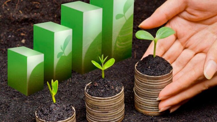 Mais de 10 mil empresas já se candidataram ao Programa Apoiar 11 Mais de 10 mil empresas já se candidataram ao Programa Apoiar