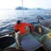 Pescas pós-Brexit. UE mantém acesso a águas britânicas, mas abdica de 25% das capturas 21 Pescas pós-Brexit