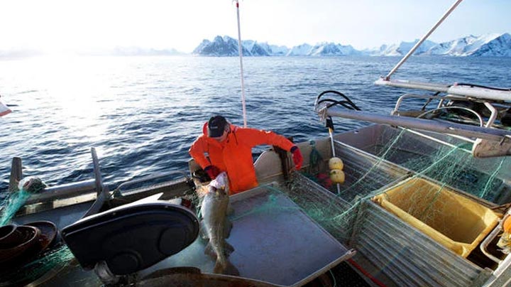 Pescas pós-Brexit. UE mantém acesso a águas britânicas, mas abdica de 25% das capturas 11 Pescas pós-Brexit