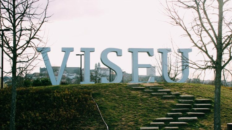 Terras do Demo têm um "potencial imenso" por explorar 11 viseu