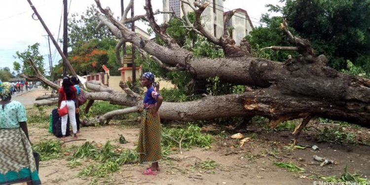 Moçambique: Ciclone "Eloise" deixa rasto de destruição e seis mortos no centro do país