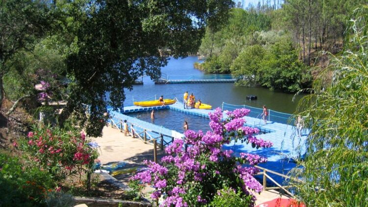 Biblioteca de Proença-a-Nova cria serviço online para leitura de jornais 11 Proença-a-Nova