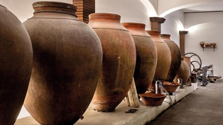 Vinhos produzidos em talhas de barro 11 Vinhos produzidos em talhas de barro