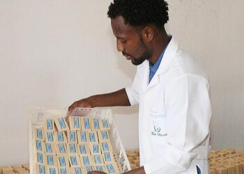 Alex Mascarenhas e Deritson de Pina