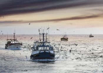 Bruxelas promove o consumo sustentável de peixe e marisco