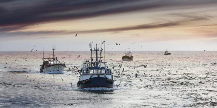 Bruxelas promove o consumo sustentável de peixe e marisco 11 Bruxelas promove o consumo sustentável de peixe e marisco