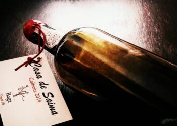 Casa de Saima Baga Tonel tinto 2018