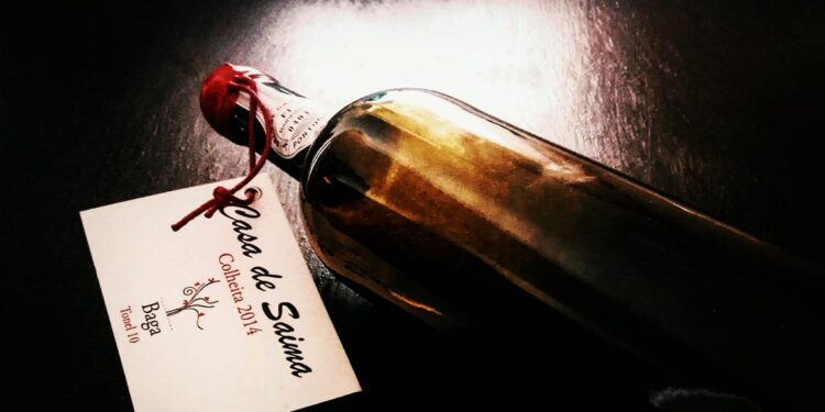 Vinho tinto da Bairrada distinguido pelo The New York Times 11 Casa de Saima Baga Tonel tinto 2018