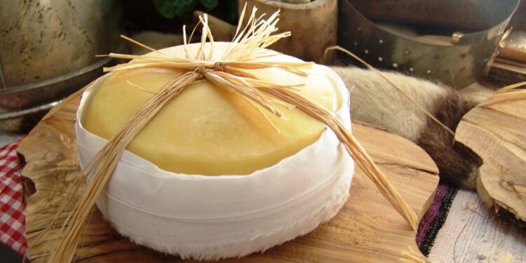 Vêm aí cinco feiras online para comprar Queijo da Serra da Estrela