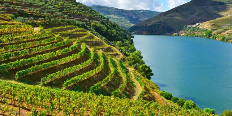 Vinhos do Douro e Porto reforçam promoção para os 2,5 ME em 2021 11 Vinhos do Douro