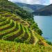 Vinhos do Douro e Porto reforçam promoção para os 2,5 ME em 2021 22 Vinhos do Douro