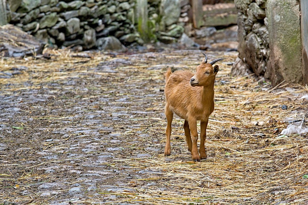 Portugal: 12 pequenos paraísos que não aparecem no mapa 18 Portugal: 12 pequenos paraísos que não aparecem no mapa