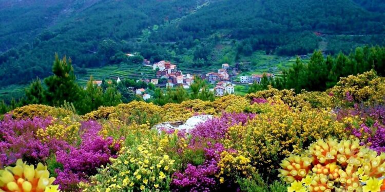 A Primavera no Centro de Portugal 11 A Primavera no Centro de Portugal
