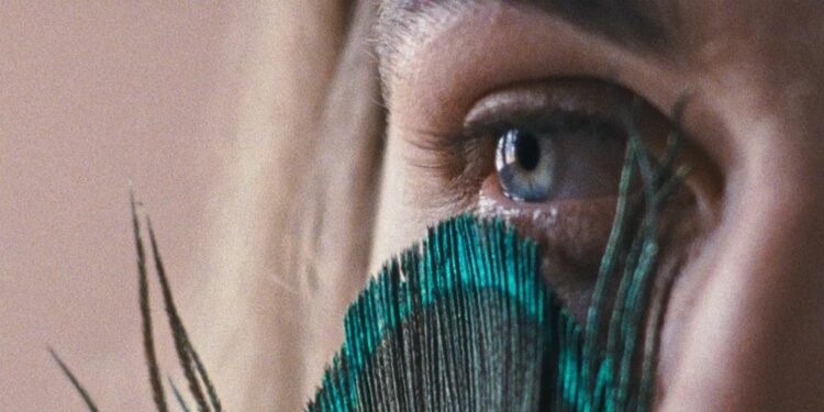 Filme "A metamorfose dos pássaros" de Catarina Vasconcelos premiado no Brasil 11 A metamorfose dos pássaros