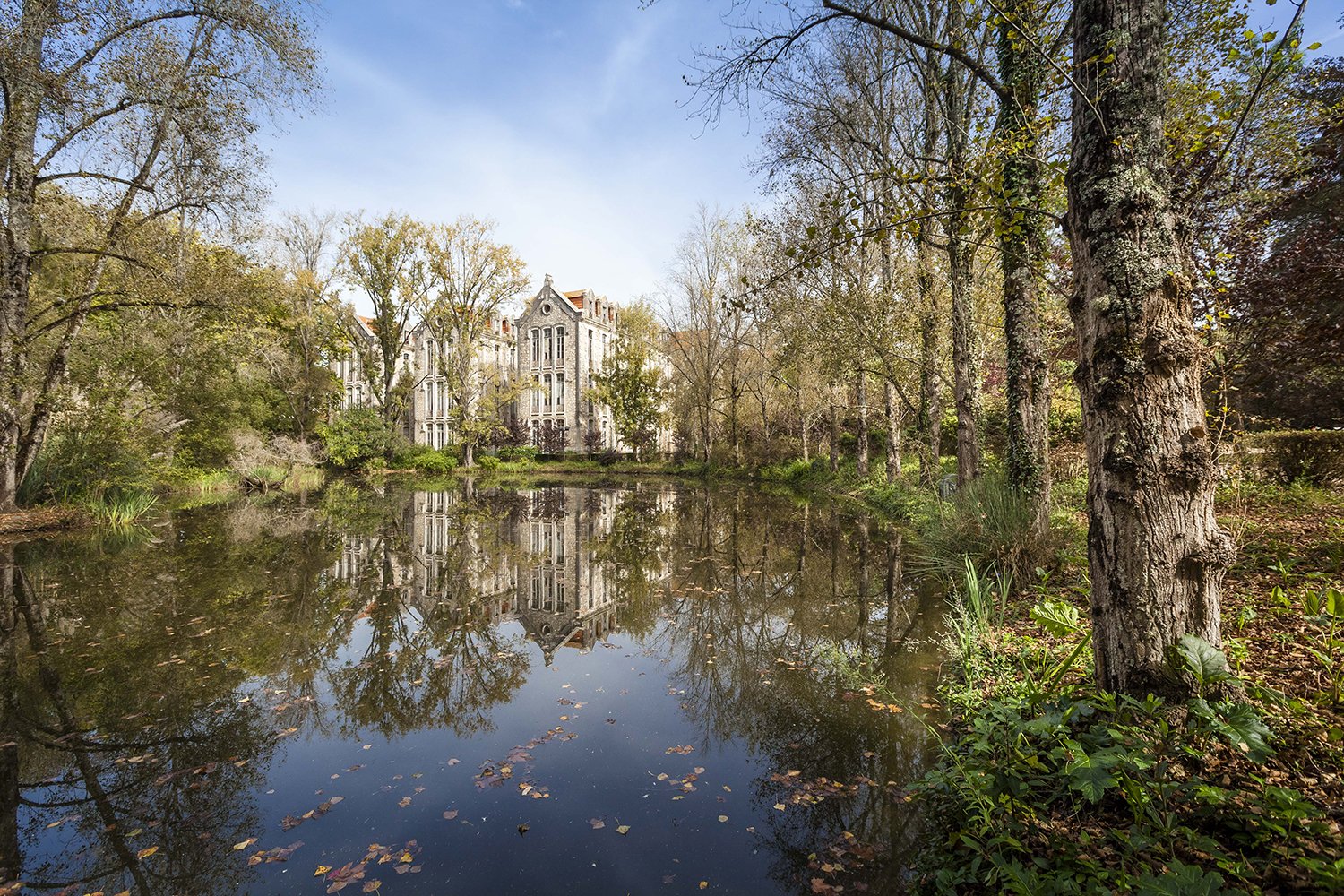 A Primavera no Centro de Portugal 22 A Primavera no Centro de Portugal