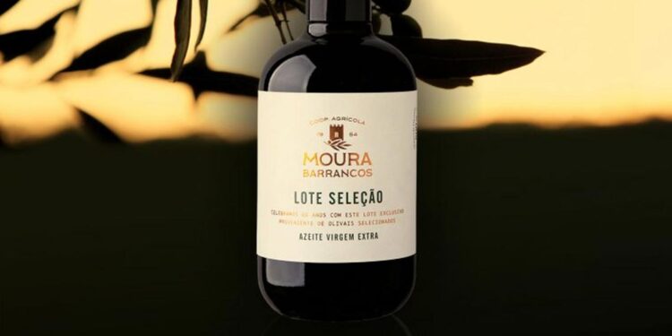 Cooperativa de Moura e Barrancos lança azeite de edição limitada 11 Cooperativa de Moura e Barrancos lança azeite de edição limitada