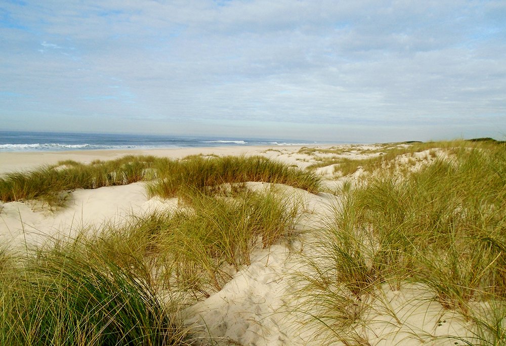 A Primavera no Centro de Portugal 16 A Primavera no Centro de Portugal