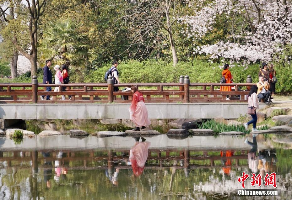 China: Wuxi inaugura Semana Internacional da Flor de Cerejeira 13 China: Wuxi inaugura Semana Internacional da Flor de Cerejeira