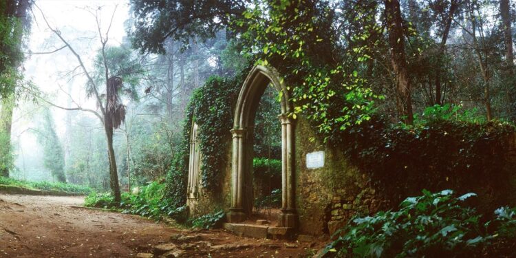 Em Coimbra, os Jardins da Quinta das Lágrimas reabrem a visitas 11 Jardins da Quinta das Lágrimas