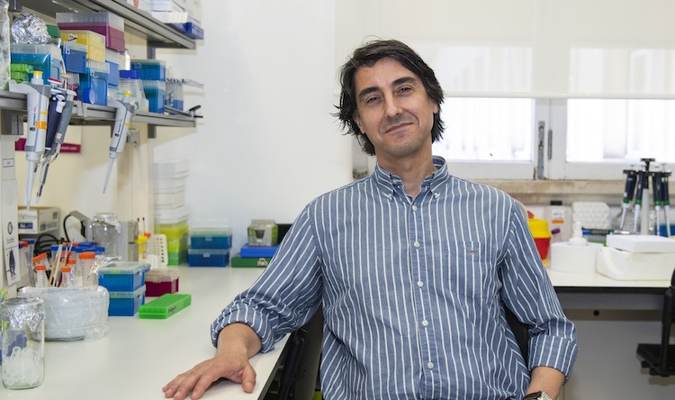 João Nuno Moreira, docente e investigador do CNC e da Faculdade de Farmácia da Universidade de Coimbra (FFUC).